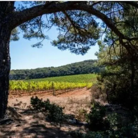 Avec Terrasse, Parking, A 500m De La - - Fr-1-251-66 Apartman