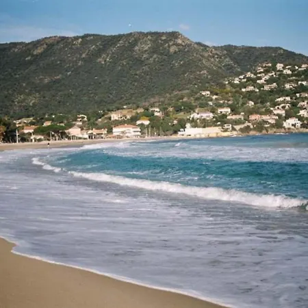 Avec Terrasse, Parking, A 500m De La - - Fr-1-251-66 Appartamento Le Lavandou