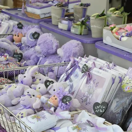 Appartement Avec Terrasse, Parking, A 500m De La - - Fr-1-251-66