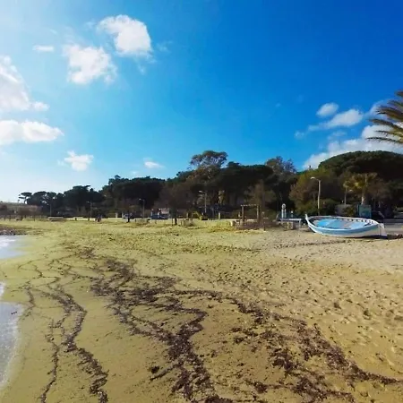 Appartement Avec Terrasse, Parking, A 500m De La - - Fr-1-251-66 Le Lavandou