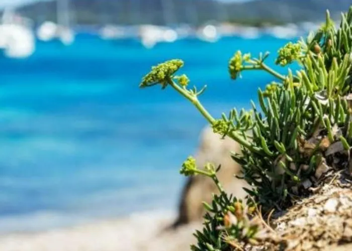 Avec Terrasse, Parking, A 500m De La - - Fr-1-251-66 Apartman