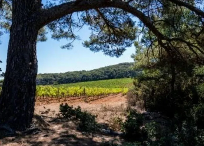 Avec Terrasse, Parking, à 500m De La - - Fr-1-251-66 Appartement