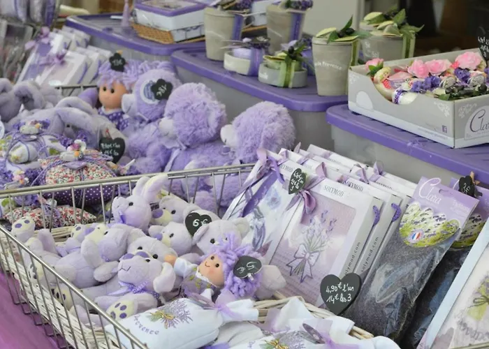 Apartman Avec Terrasse, Parking, A 500m De La - - Fr-1-251-66