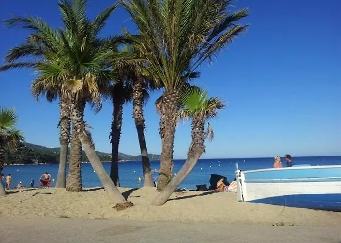 Avec Terrasse, Parking, à 500m De La - - Fr-1-251-66