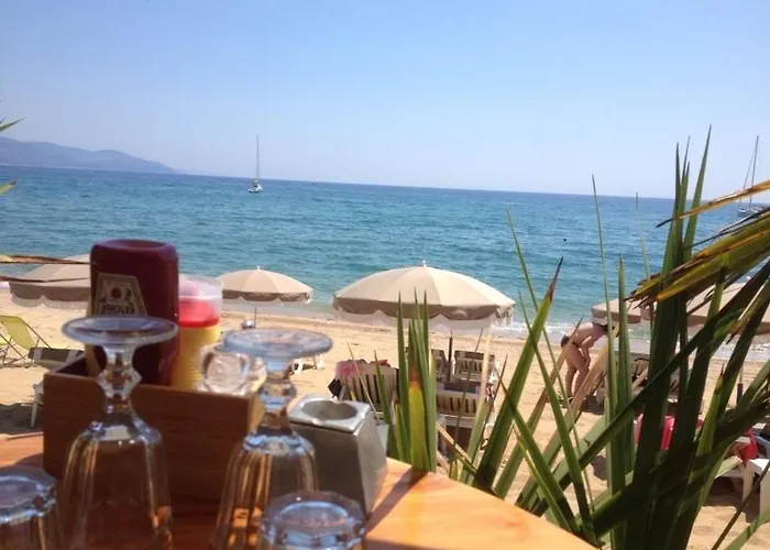 Avec Terrasse, Parking, à 500m De La - - Fr-1-251-66 * Le Lavandou