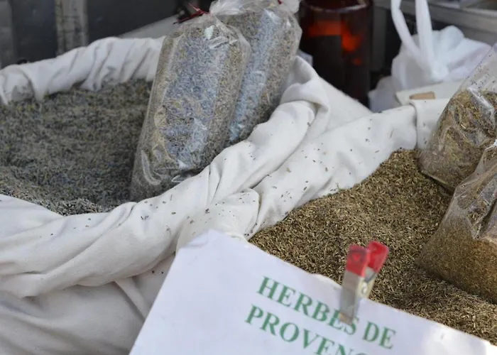 Apartman Avec Terrasse, Parking, A 500m De La - - Fr-1-251-66