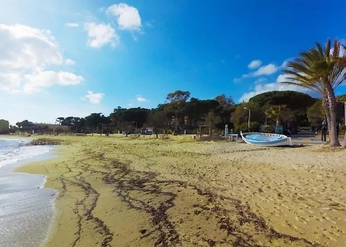 Apartman Avec Terrasse, Parking, A 500m De La - - Fr-1-251-66 Le Lavandou